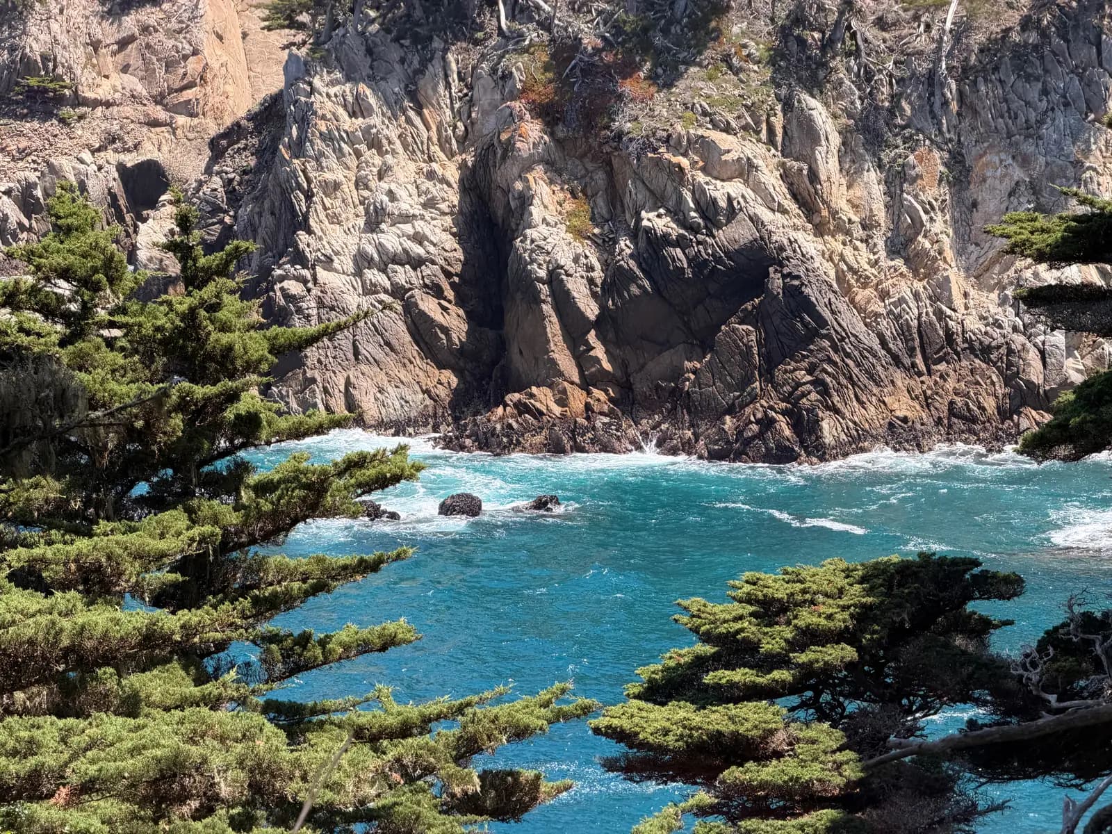 Point Lobos