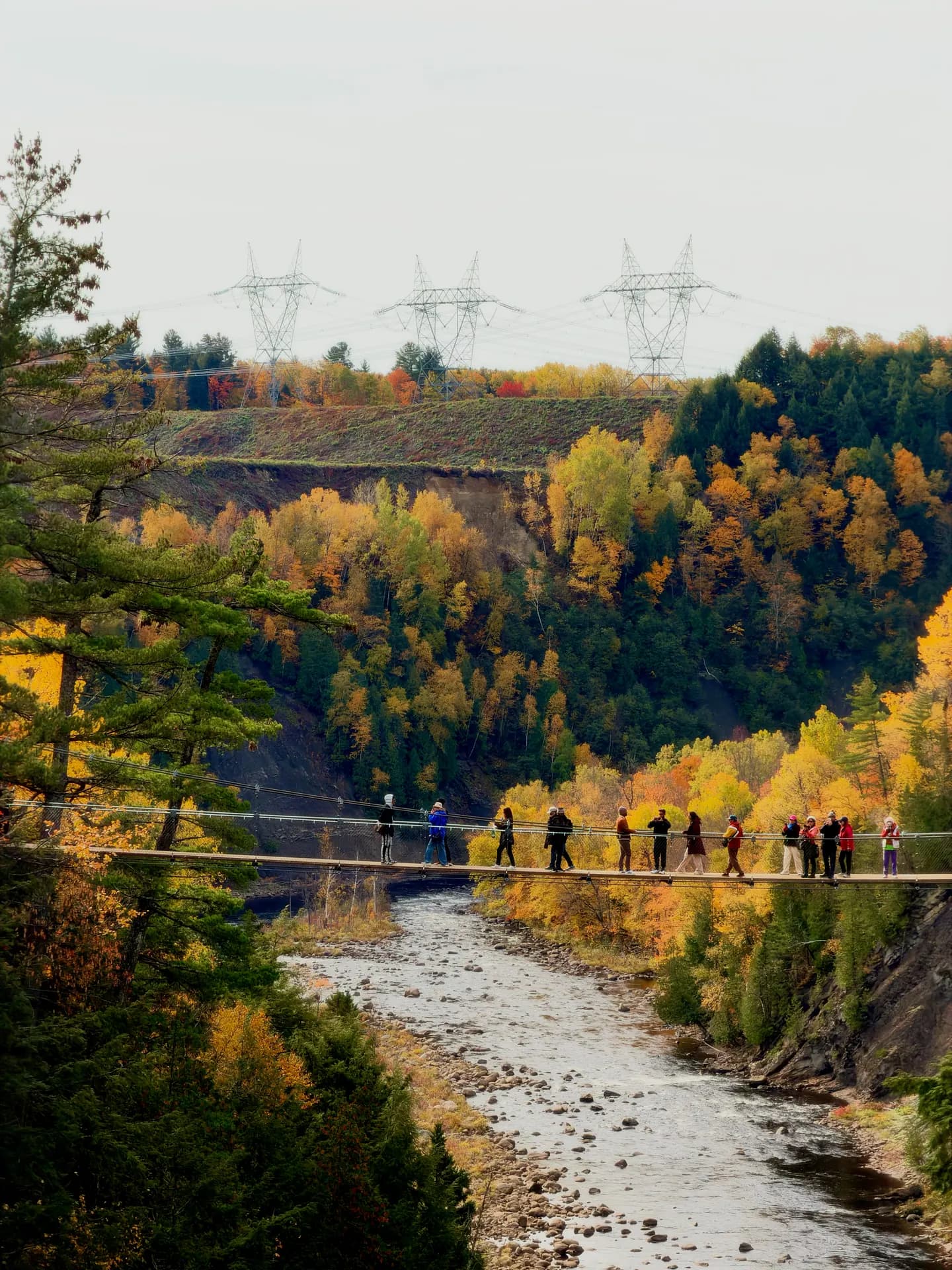 Canyon Sainte-Anne Bridge